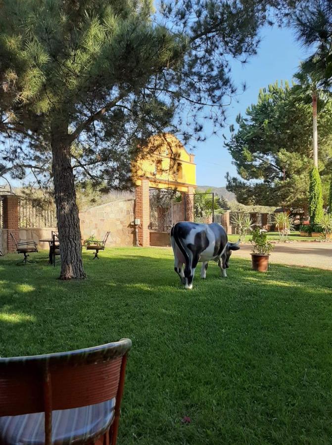 Rancho El Campanario En La Ruta Del Vino Hostel Valle de Guadalupe Luaran gambar