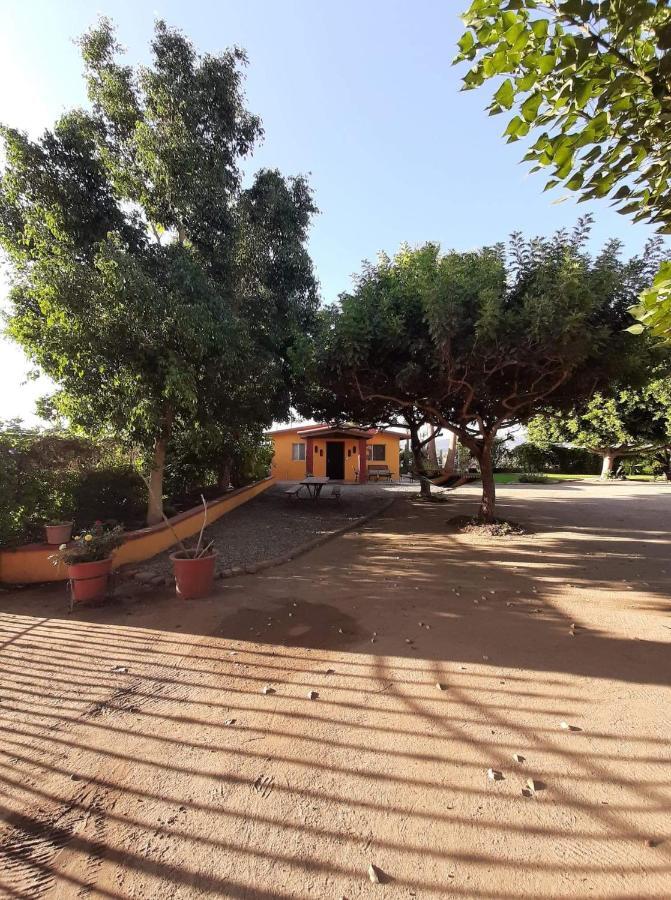 Rancho El Campanario En La Ruta Del Vino Hostel Valle de Guadalupe Luaran gambar